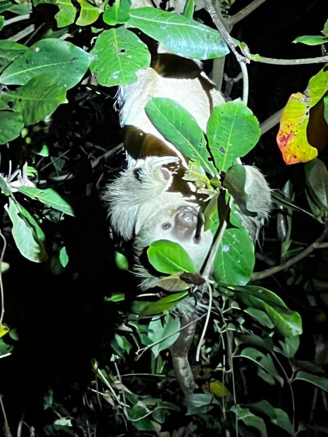 Whispering Wisdom Villa Cahuita Buitenkant foto